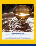 Inaba Ciao Dashi Pui bol hrană umedă fără cereale pisici (în sos) 70g
