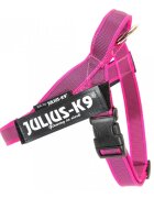 Julius-K9 IDC Color & Gray ham bandă câini S 7-15kg roz