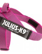 Julius-K9 IDC Color & Gray ham bandă câini XL 28-40kg roz