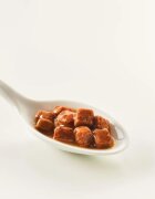 Kattovit Gastro Pui și Orez dietă veterinară plic hrană umedă pisici sistem digestiv (în sos) 85g