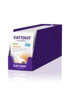 Kattovit Urinary Curcan dietă veterinară plic hrană umedă pisici sistem urinar (în sos) bax 85g x 24buc