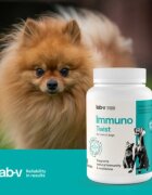 LAB-V Immuno Twist XS-XL supliment sistem imunitar câini și pisici flacon 60 capsule
