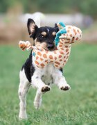 MAX & MOLLY Huggles Girafa Jerry jucărie de aport câini activități fizice poliester maro și albastru 26x23cm 1buc