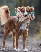 MAX & MOLLY Huggles Girafa Jerry jucărie de aport câini activități fizice poliester maro și albastru 26x23cm 1buc