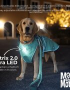 MAX & MOLLY Matrix Ultra Led accesoriu iluminat câini negru