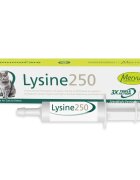 Mervue Lysine 250 supliment sistem imunitar sistem respirator pisici seringă gradată 30ml pastă orală
