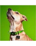 MyFamily Memopet zgardă ajustabilă cu NFC câini textil 26-37cm verde