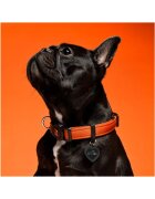 MyFamily Memopet zgardă ajustabilă cu NFC câini textil 35-53cm orange