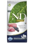 N&D Prime Adult Medium/Maxi M-XL Miel și afine hrană uscată fără cereale câini 12kg