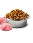 N&D Pumpkin Neutered Miel și dovleac hrană uscată fără cereale pisici sterilizate 1.5kg