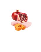 N&D Pumpkin Pui și dovleac conservă hrană umedă fără cereale pisici (în aspic) 70g