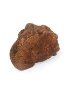NATUREDELÌ Radacina Tubercul Salbatic S recompense câini 300g