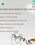 Natures Protection Lifestyle Sensitive Digestion Soup Ton conservă hrană umedă monoproteică pisici sistem digestiv (topping) 140g