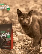 Natures Protection Lifestyle Sterilised Somon și Krill hrană uscată fără cereale pisici sterilizate 7kg