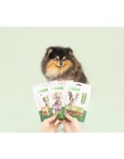Natures Protection Sticks XS-XL Vită cutie recompense câini 75g