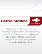 Natures Protection Superior Care Veterinary Diet Gastrointestinal White XS-XL Pește dietă veterinară hrană uscată câini sistem digestiv 10kg