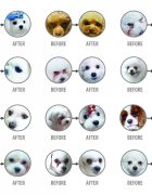 Natures Protection Superior Care White Dogs Small&Mini Somon hrană uscată fără cereale câini reducerea petelor maronii la câinii albi 1.5kg