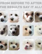 Natures Protection Superior Care White Dogs XS-XL Pește alb hrană uscată fără cereale câini junior & adult 10kg