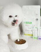 Natures Protection Superior Care White Dogs XS-XL Ton și Pește alb plic hrană umedă câini (topping) 70g