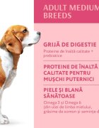 OPTIMEAL Adult M Curcan hrană uscată câini Adult M Curcan hrană uscată câini 4kg