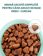 OPTIMEAL Adult M Curcan hrană uscată câini Adult M Curcan hrană uscată câini 4kg