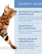 OPTIMEAL Cod cu Legume hrană umedă pisici (în aspic) Cod și Legume plic hrană umedă pisici (în aspic) 85g