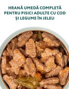 OPTIMEAL Cod cu Legume hrană umedă pisici (în aspic) Cod și Legume plic hrană umedă pisici (în aspic) 85g
