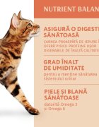OPTIMEAL Iepure hrană umedă pisici (în sos) Iepure plic hrană umedă pisici (în sos) 85g