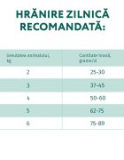 OPTIMEAL Pui hrană uscată pisici 700g