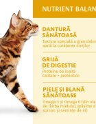 OPTIMEAL Pui hrană uscată pisici 700g