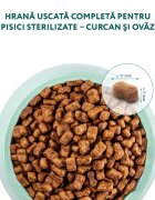 OPTIMEAL Sterilised Curcan cu Ovăz hrană uscată pisici sterilizate Sterilised Curcan hrană uscată pisici sterilizate 1.5kg