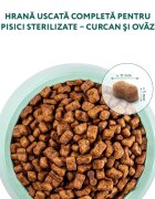 OPTIMEAL Sterilised Curcan cu Ovăz hrană uscată pisici sterilizate Sterilised Curcan hrană uscată pisici sterilizate 700g