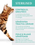 OPTIMEAL Sterilised Curcan cu Ovăz hrană uscată pisici sterilizate Sterilised Curcan hrană uscată pisici sterilizate 700g