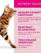 OPTIMEAL Vită cu Merișoare hrană umedă pisici (în sos) Vită plic hrană umedă pisici (în sos) 85g