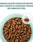 OPTIMEAL Vită hrană uscată pisici 700g