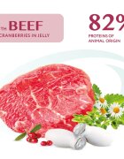 OPTIMEAL XS-XL Vită plic hrană umedă câini (în aspic) 100g XS-XL Vită plic hrană umedă câini (în aspic) bax 12 buc x 100g