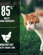 Orijen Fit & Trim Pasăre și Pește hrană uscată fără cereale pisici obezitate 5.4kg