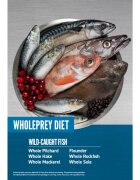 Orijen Six Fish Pește hrană uscată fără cereale pisici 5.4kg