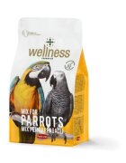 Padovan Hrana pentru Pasari Wellness Papagali 2.5 kg