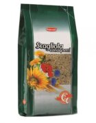 Padovan Iarba canarilor (Scagliola Glant) 1kg