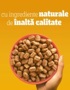 PEDIGREE Adult M-XL Vită și Legume hrană uscată câini 500g