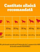 PEDIGREE Adult M-XL Vită și Legume hrană uscată câini 500g