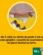 PEDIGREE DentaStix Daily Fresh recompense câini talie mare batoane ceai verde 7buc