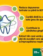PEDIGREE DentaStix Daily Fresh recompense câini talie mare batoane ceai verde 7buc