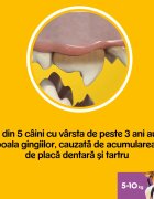PEDIGREE DentaStix Daily Fresh recompense câini talie mica batoane ceai verde 7buc