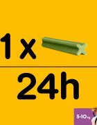 PEDIGREE DentaStix Daily Fresh recompense câini talie mica batoane ceai verde 7buc
