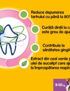 PEDIGREE DentaStix Daily Fresh recompense câini talie mica batoane ceai verde 7buc