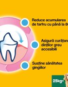 PEDIGREE DentaStix L-XL megapack recompense câini 7buc x 8 2.16kg