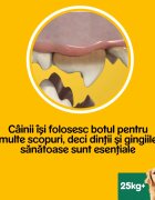 PEDIGREE DentaStix L-XL megapack recompense câini 7buc x 8 2.16kg