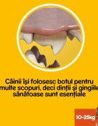 PEDIGREE DentaStix M megapack recompense câini 7buc x 8 1.44kg